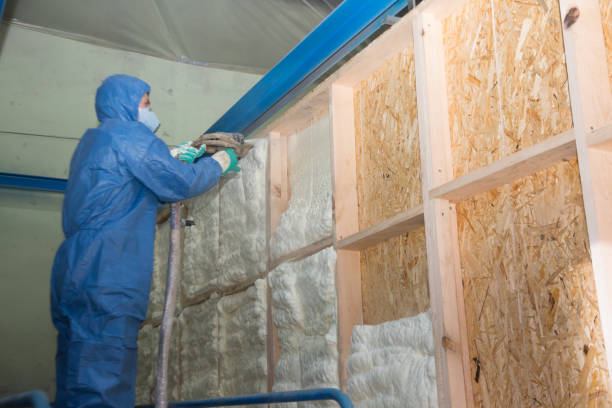 Best Insulation Removal Services  in Morrice, MI